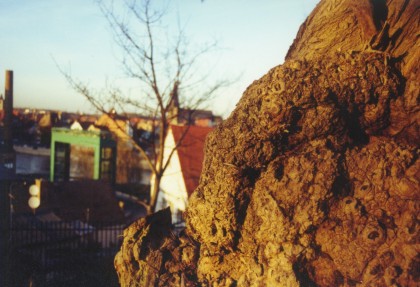 Am Schlo�berg1